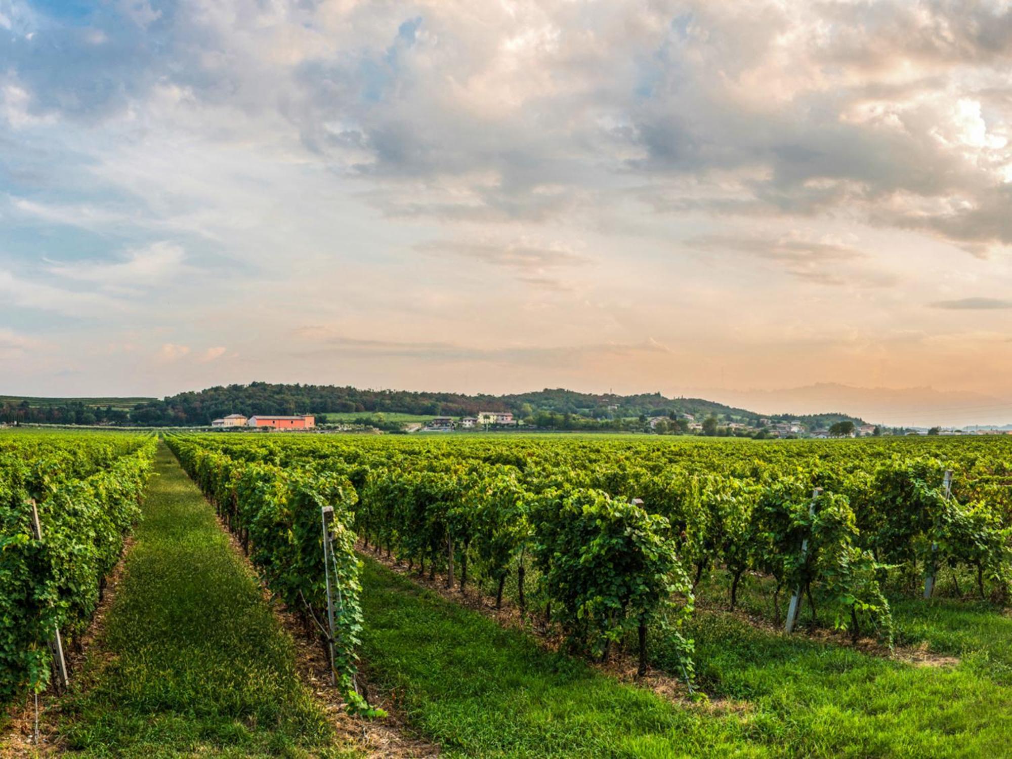 Tenuta La Presa Каприно-Веронезе Экстерьер фото